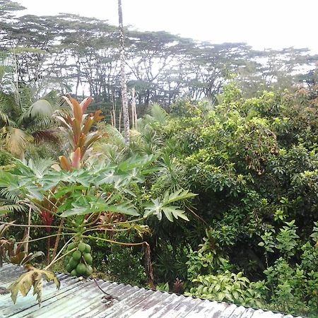 热带熔岩树美景酒店 Pahoa 外观 照片